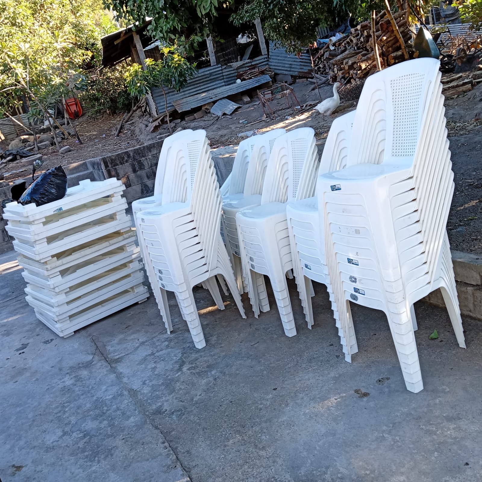 Sillas para eventos - Alquiler San Antonio